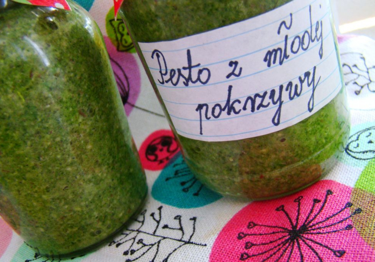 Pesto z młodej pokrzywy DoradcaSmaku pl