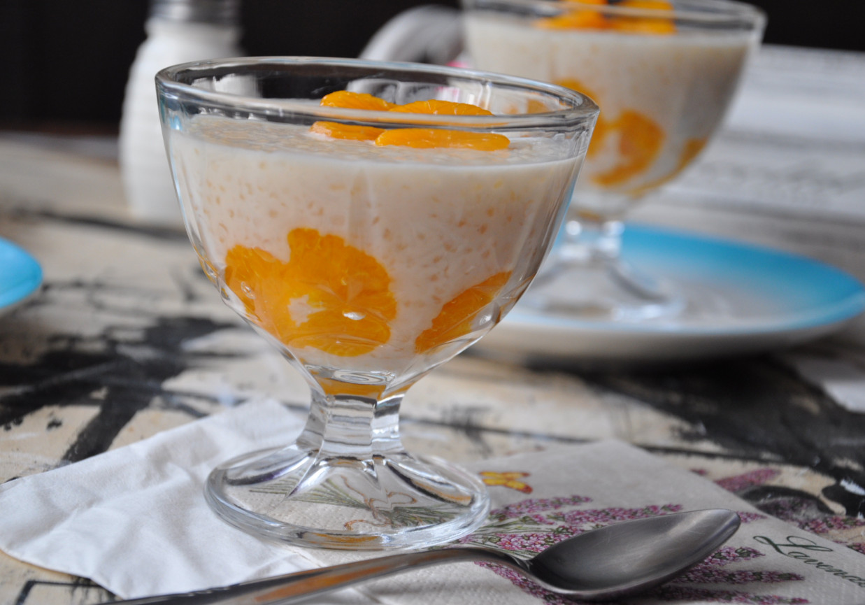 pudding z tapioki z owocami DoradcaSmaku.pl