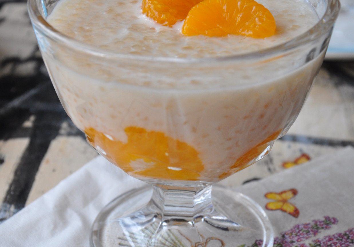 pudding z tapioki z owocami DoradcaSmaku.pl