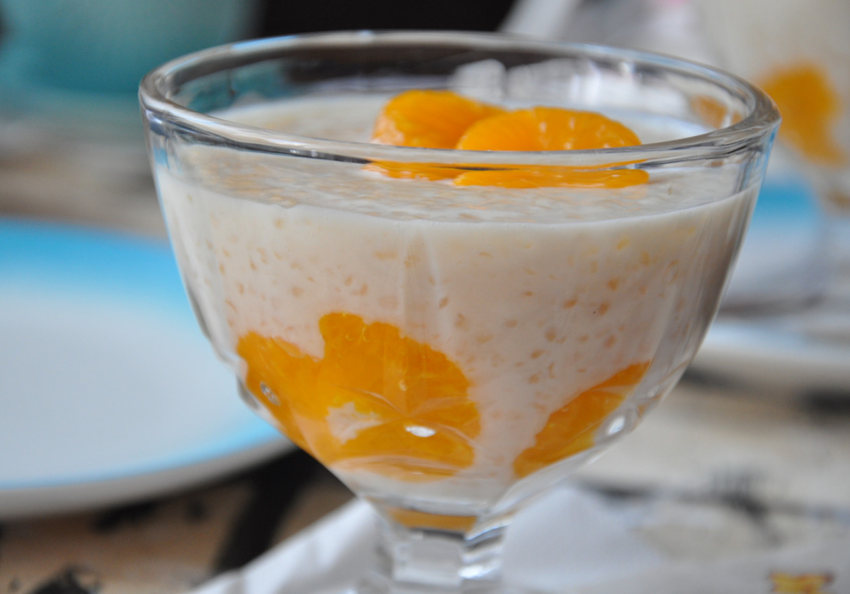 pudding z tapioki z owocami DoradcaSmaku.pl