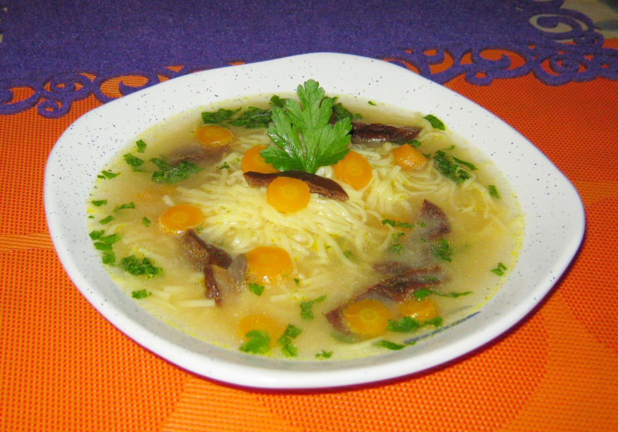 Zupa grzybowa na rosole foto