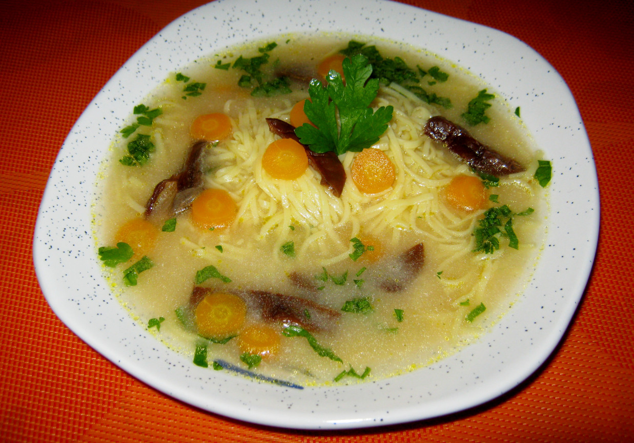  Zupa grzybowa na rosole foto