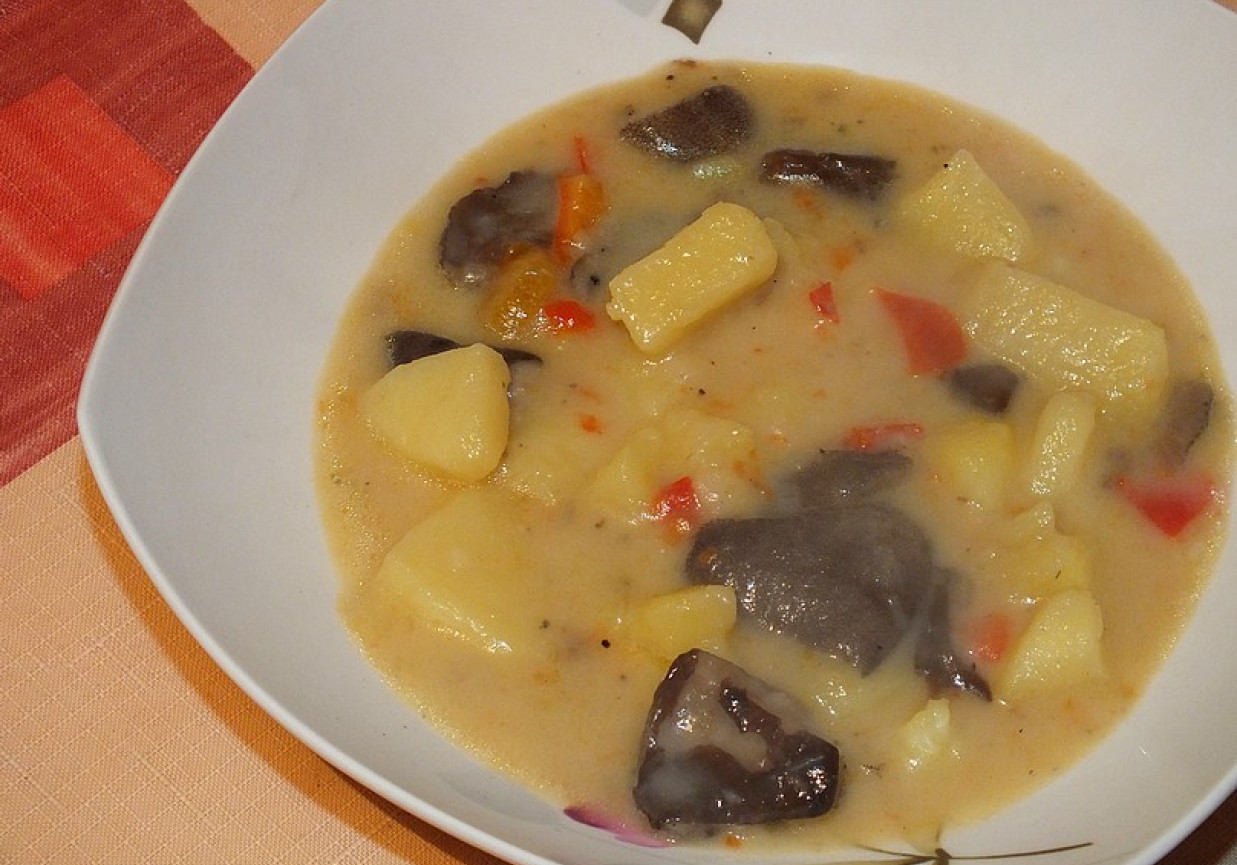      Zupa grzybowa z porem i papryką  foto