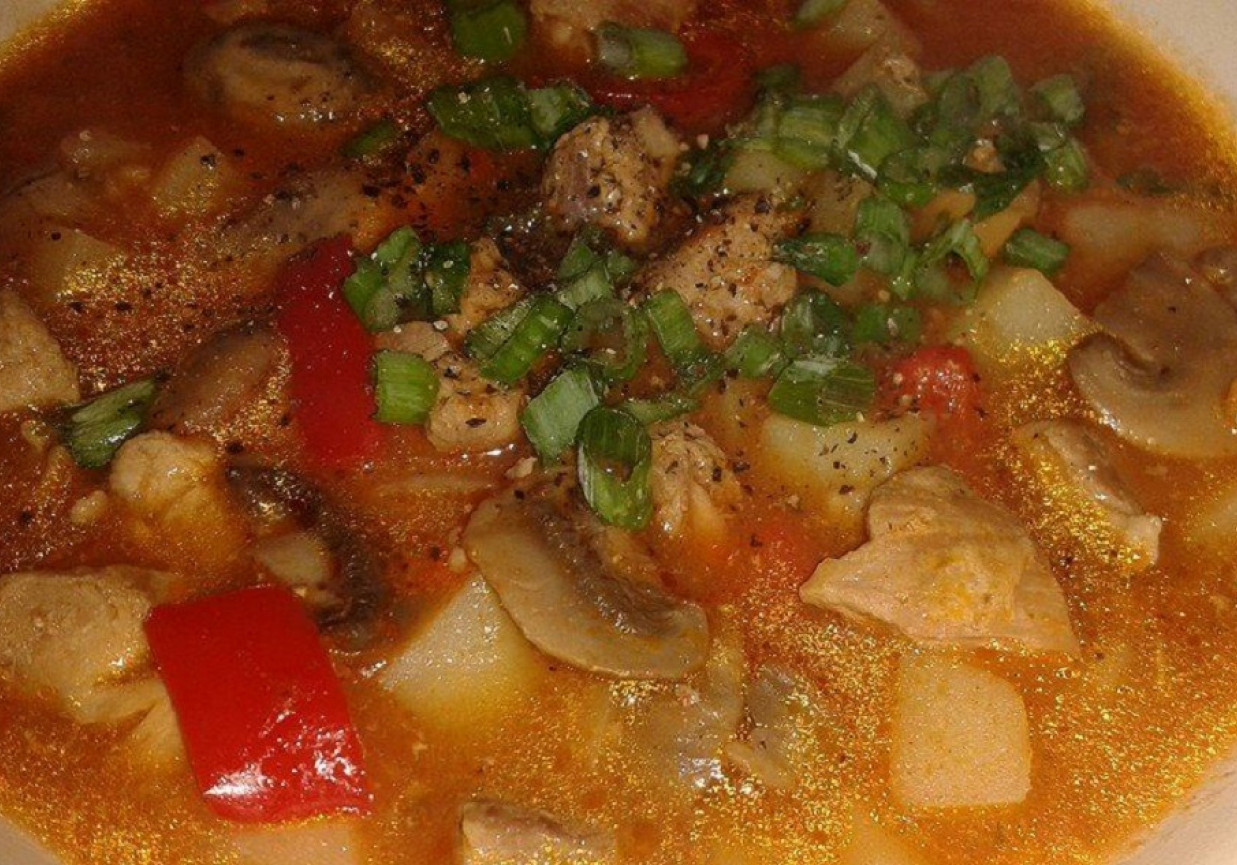  Zupa gulaszowa z indyka  foto