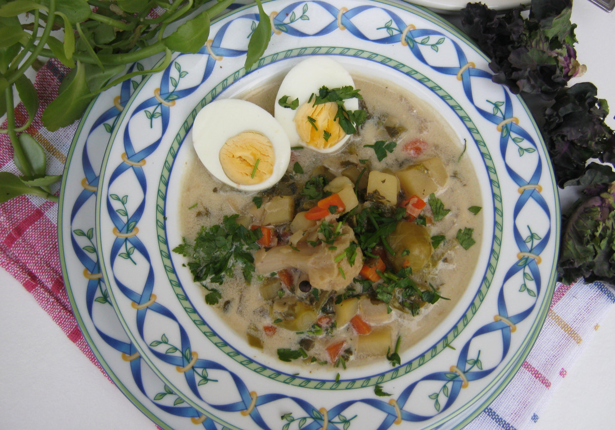  Zupa jarzynowa z jajkiem i kalerosse foto
