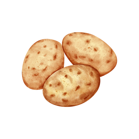 MINI Okładka (5)