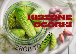 Kiszenie ogórków - jak to zrobić najlepiej? foto