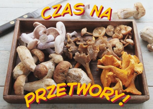 Jakie grzyby są najlepsze na przetwory?