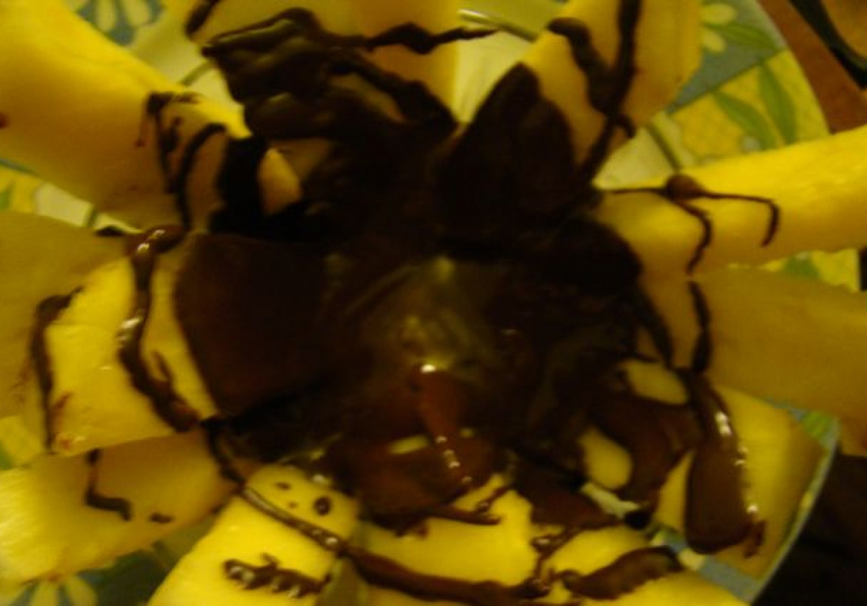Ananas w czekoladzie foto