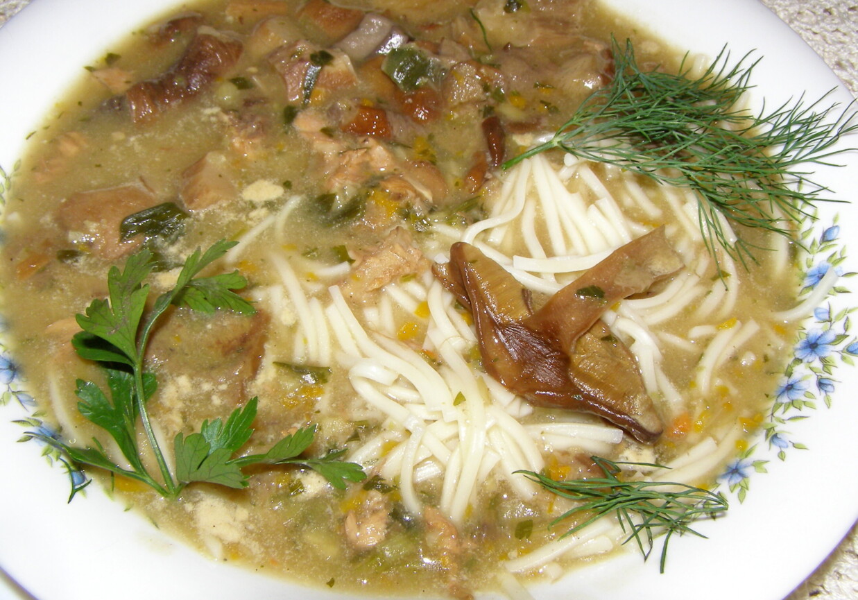 Aromatyczna zupa grzybowa z prawdziwków z makaronem foto