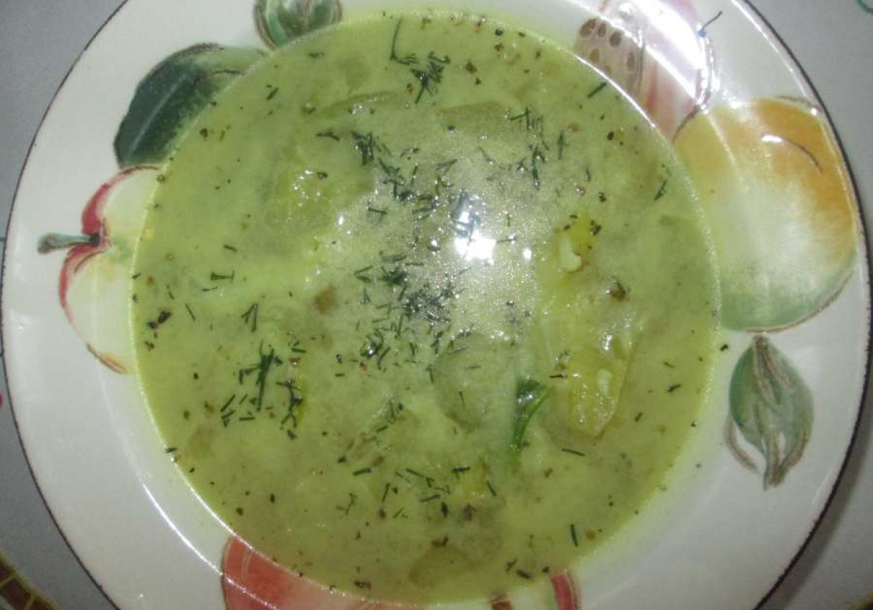 Aromatyczna zupa wiosenno-letnia foto