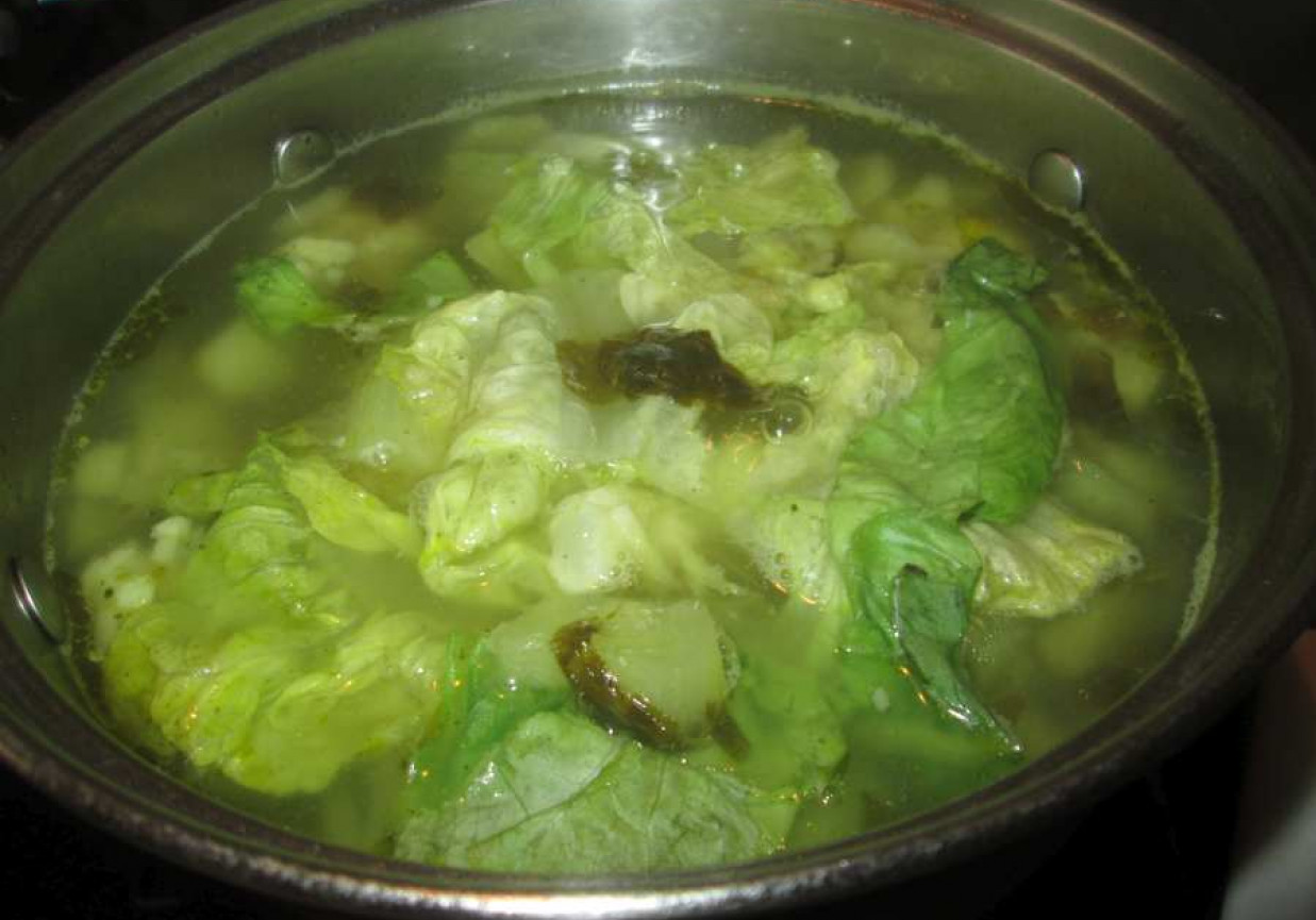 Aromatyczna zupa wiosenno-letnia foto