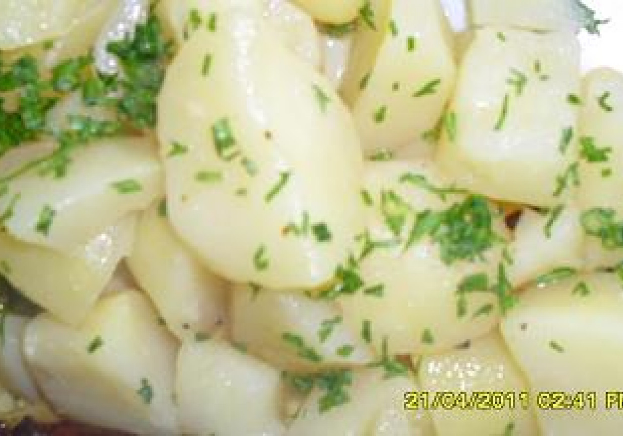 aromatyczne gotowane ziemniaki foto