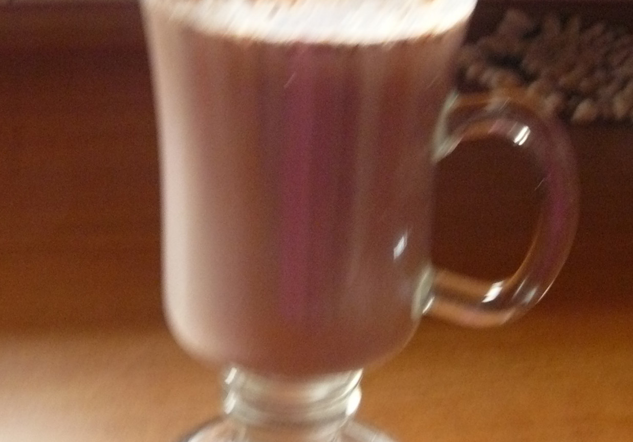 Aromatyczne kakao z cynamonem foto