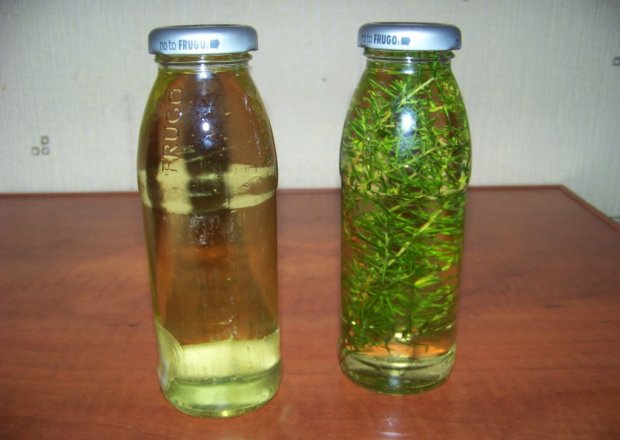 Fotografia przedstawiająca Aromatyczne oleje według Agi