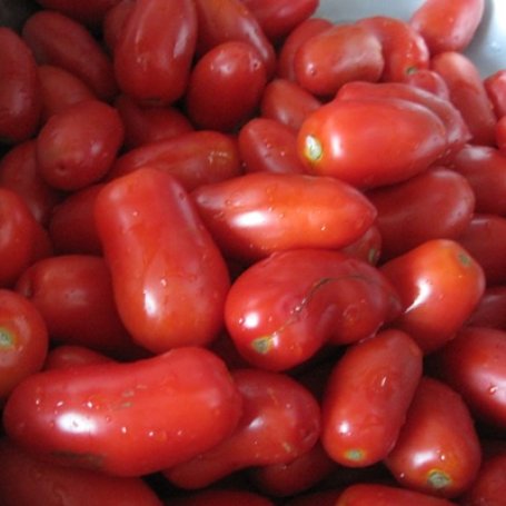 Krok 1 - Aromatyczne suszone pomidory w zalewie oliwnej foto