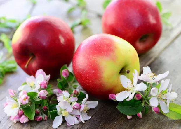 Artykuł na zdrowie: Daj się skusić na jabłko