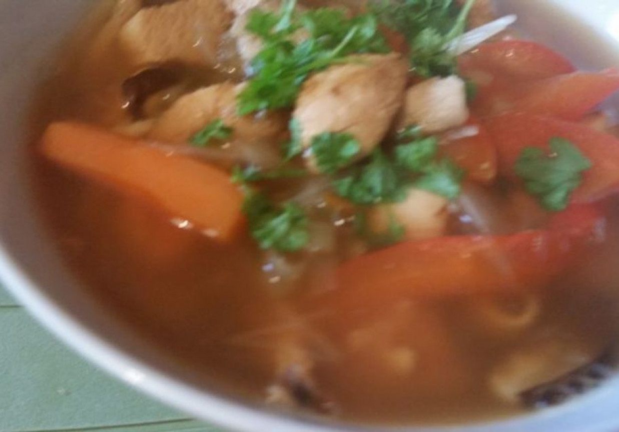 Azjatycka zupa z kurczakiem foto