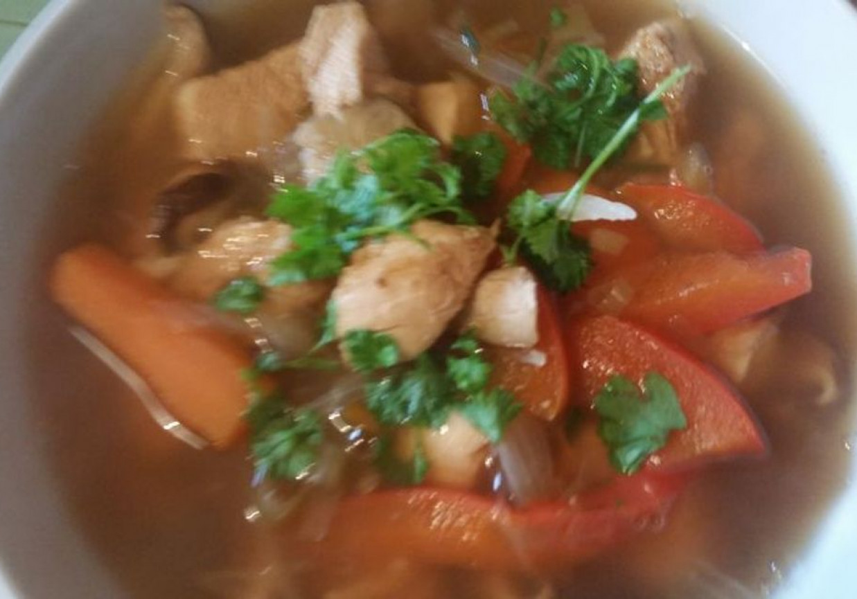 Azjatycka zupa z kurczakiem foto