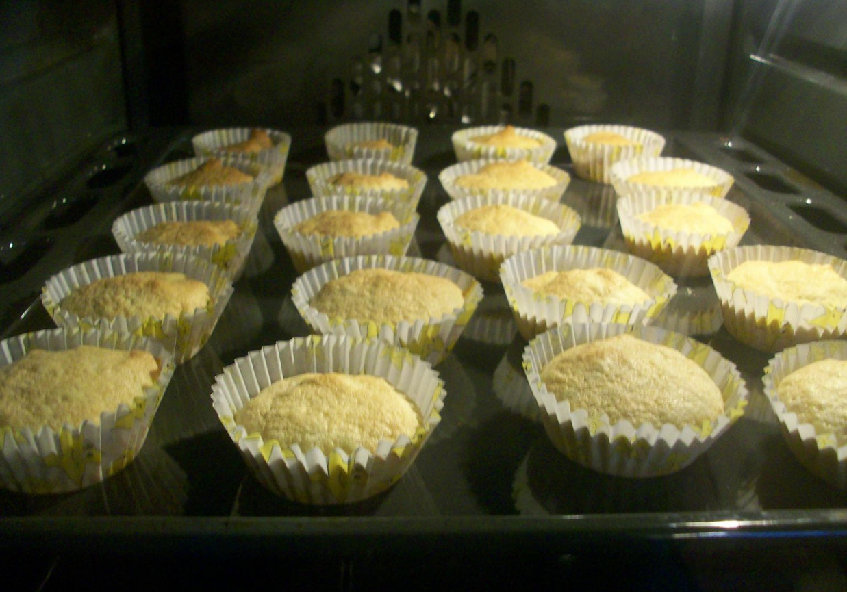 Babeczki biszkoptowe foto