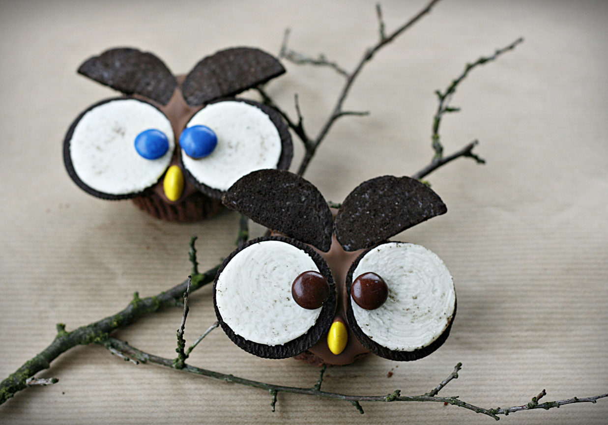 Babeczki słodkie, czekoladowe sowy foto