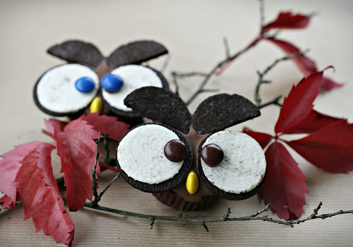 Babeczki słodkie, czekoladowe sowy foto