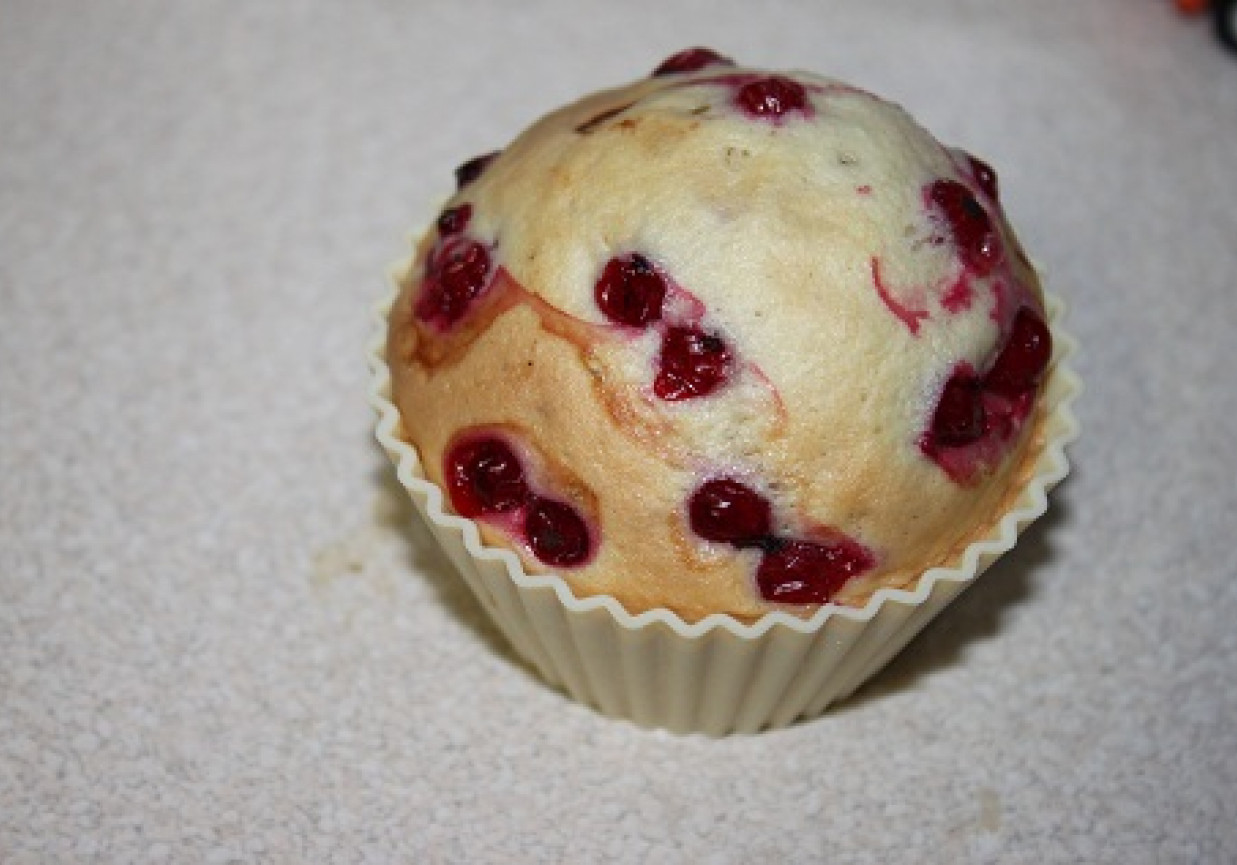 Babeczki z czerwoną porzeczką foto