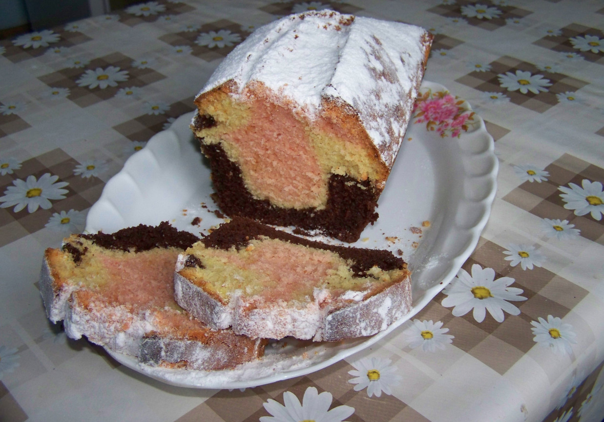 Babka barwna foto