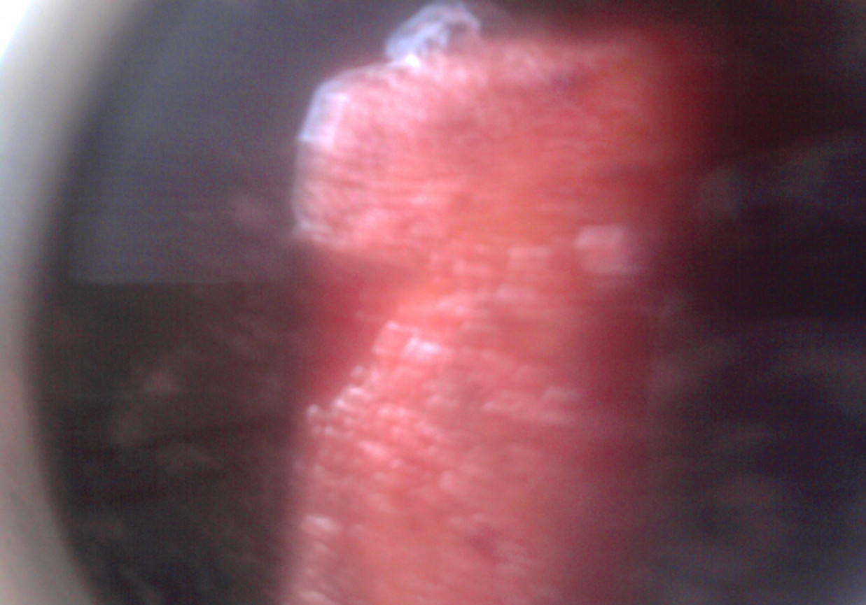 Barszczyk Czerwony z krokiecikami foto