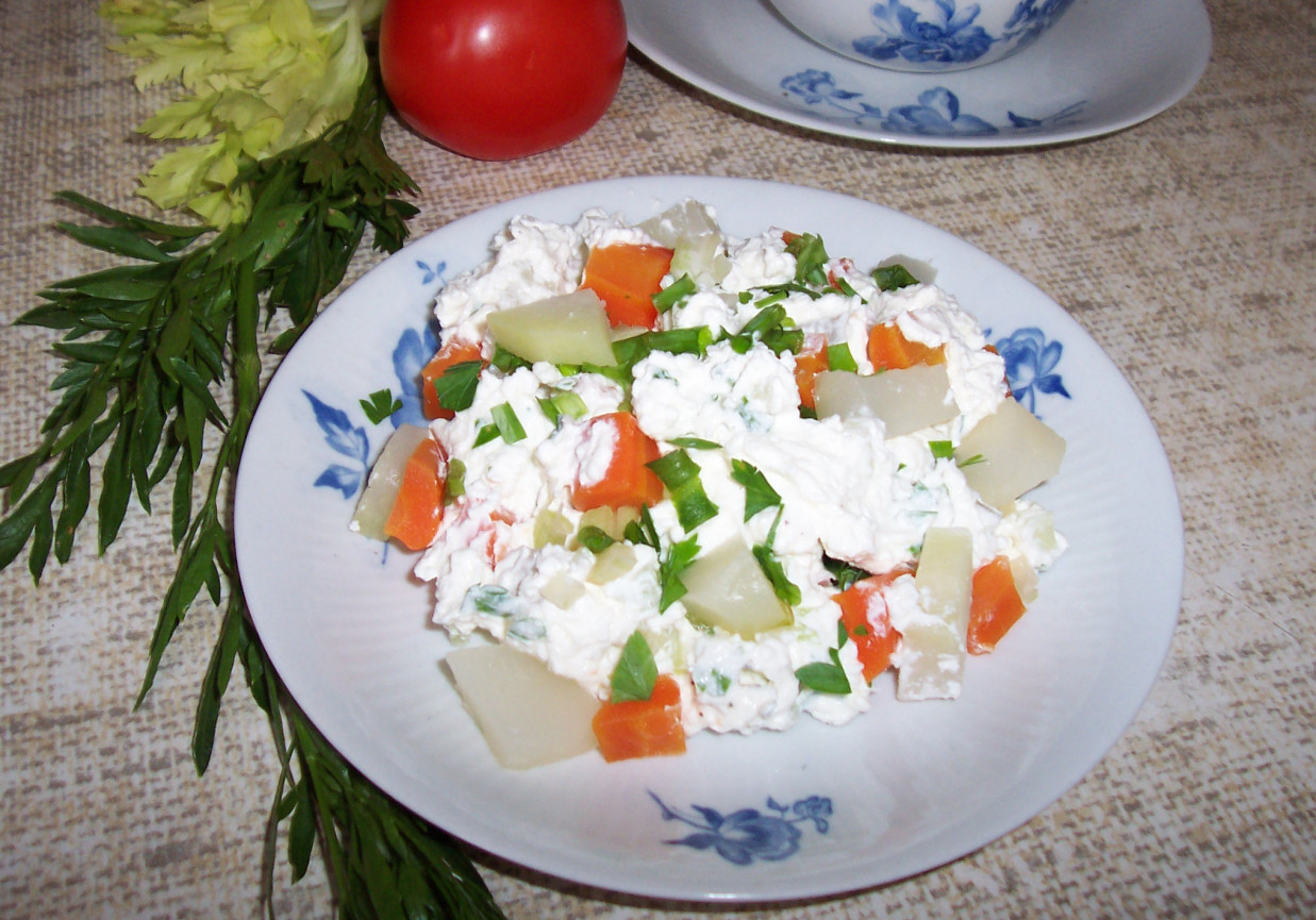 Biały ser z kalarepką i marchewką foto