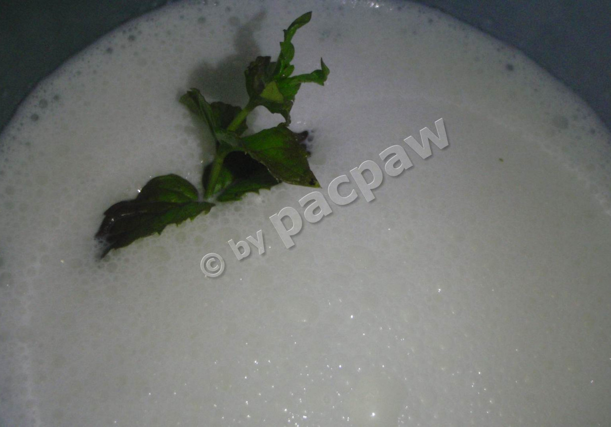 Ajran – turecki napój mleczny z koperkiem foto
