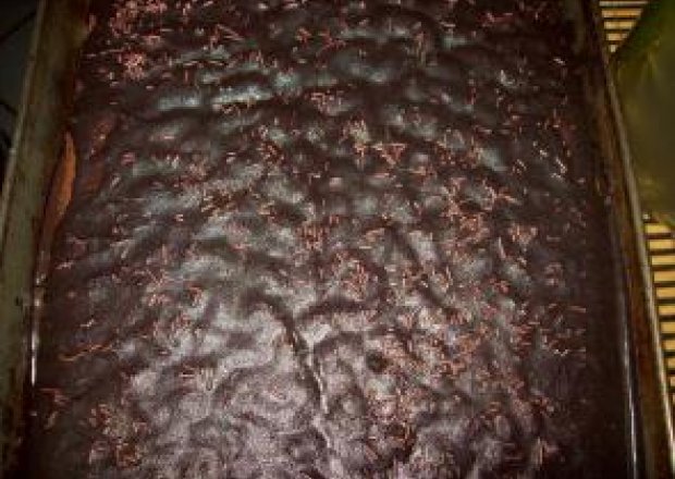 Fotografia przedstawiająca Biszkopt z czereśniami w polewie czekoladowej