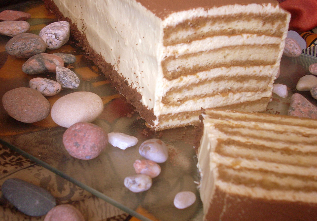 Biszkopt z kremem a/la tiramisu foto