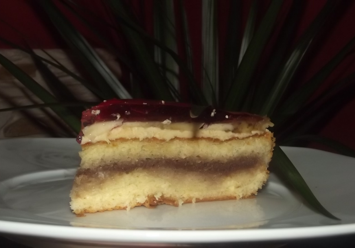 Biszkopt z owocami i galaretką foto