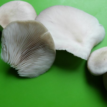 Krok 1 - Boczniaki panierowane foto