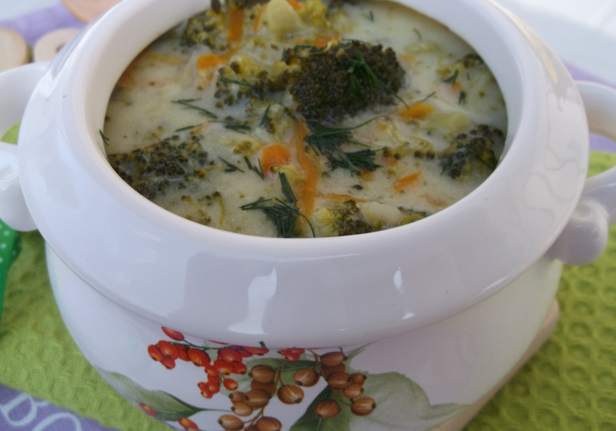 Brokułowa zupa. foto
