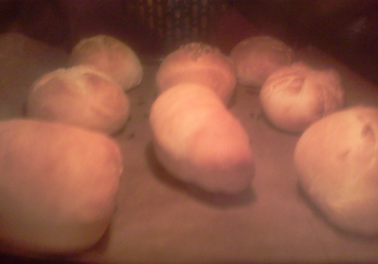 Bułeczki pszenne z mąki chlebowej  foto