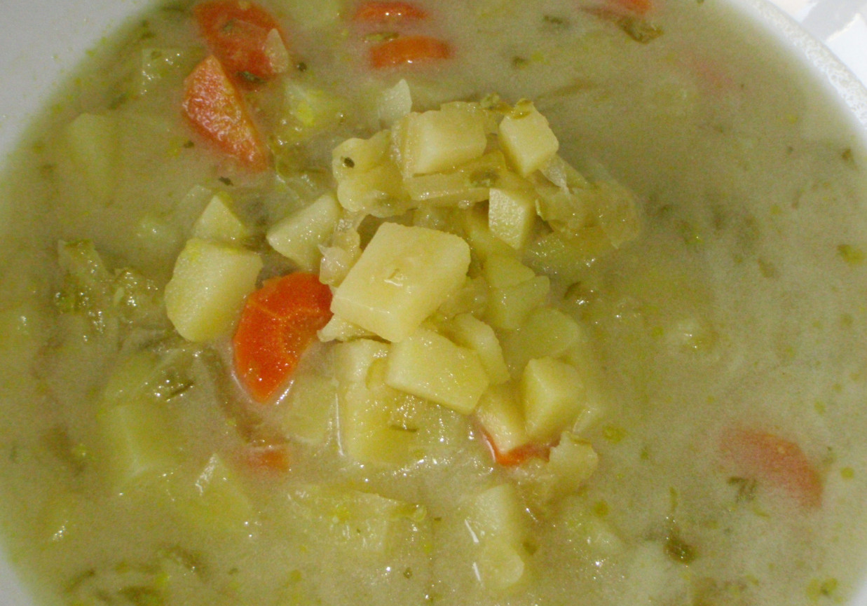 Bułgarska zupa ogórkowa foto