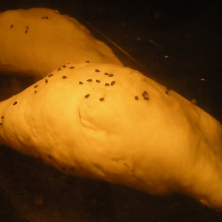 Krok 2 - Calzone z mozarellą foto