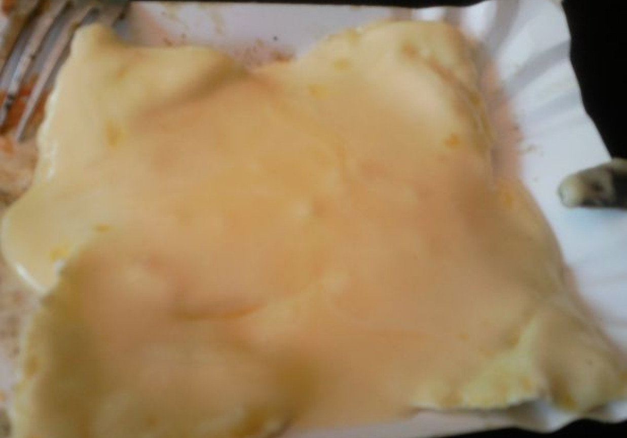Camembert z grilla foto