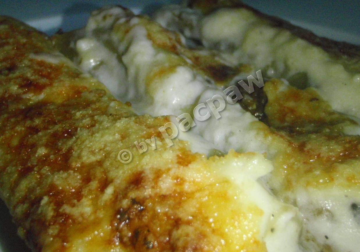 Cannelloni z dziczyzną pod beszamelem foto