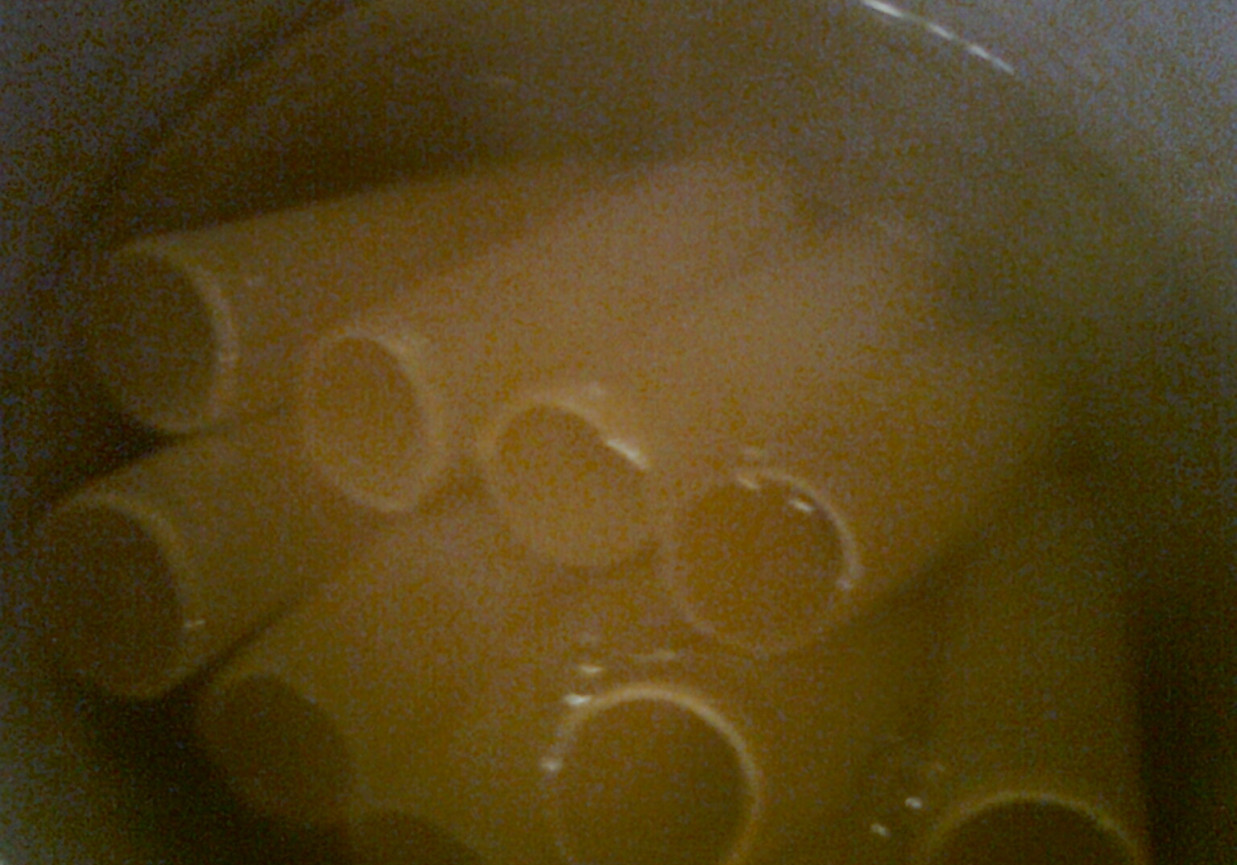 cannelloni z nadziewane łopatką foto