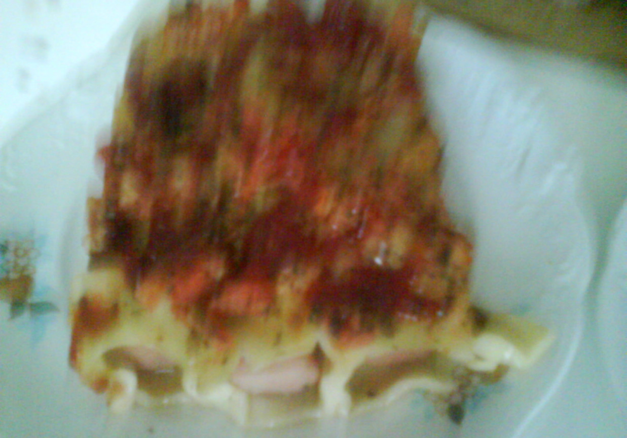 cannelloni foto