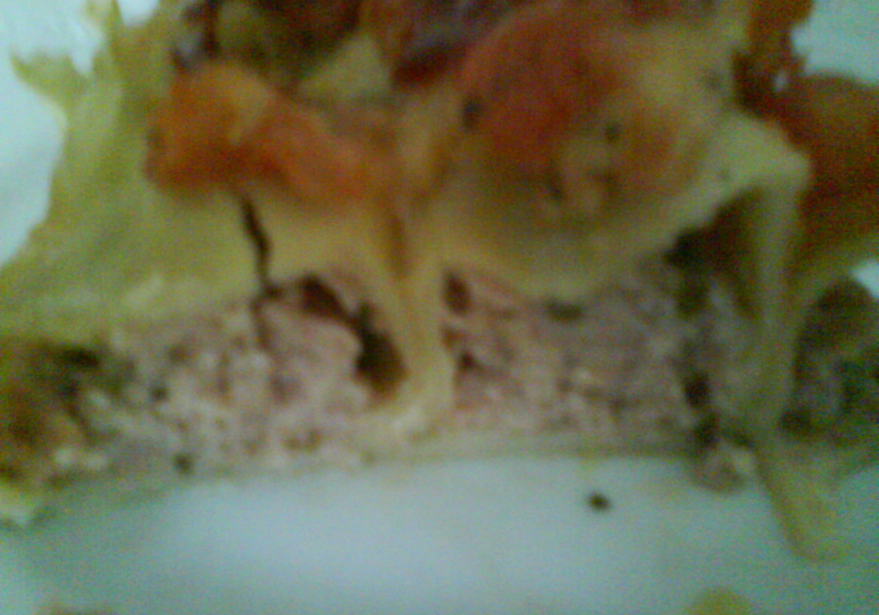 cannelloni foto