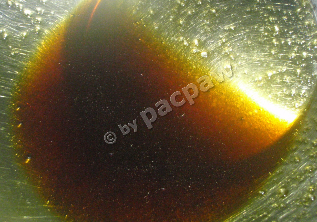 Carpaccio buraczkowe z sosem miodowo-balsamicznym foto