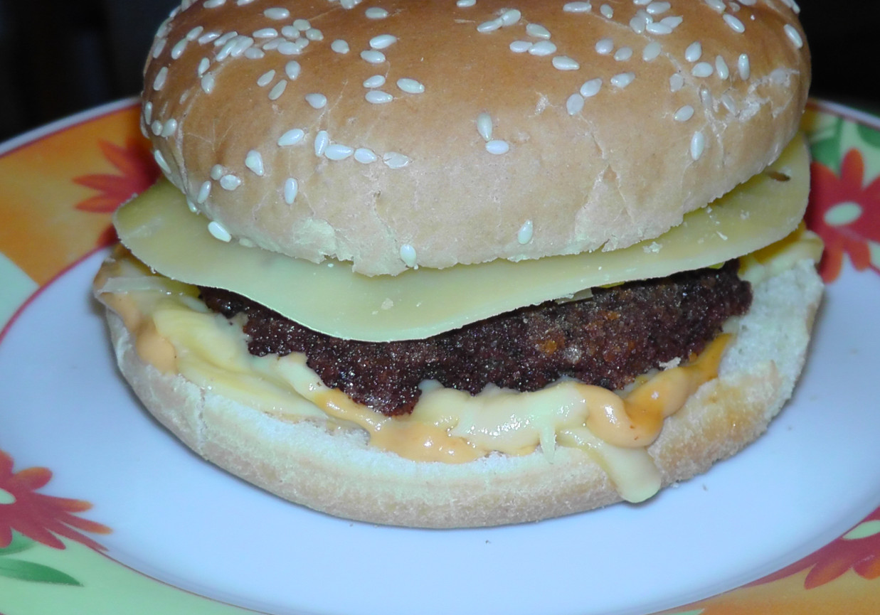 Cheesburgery foto