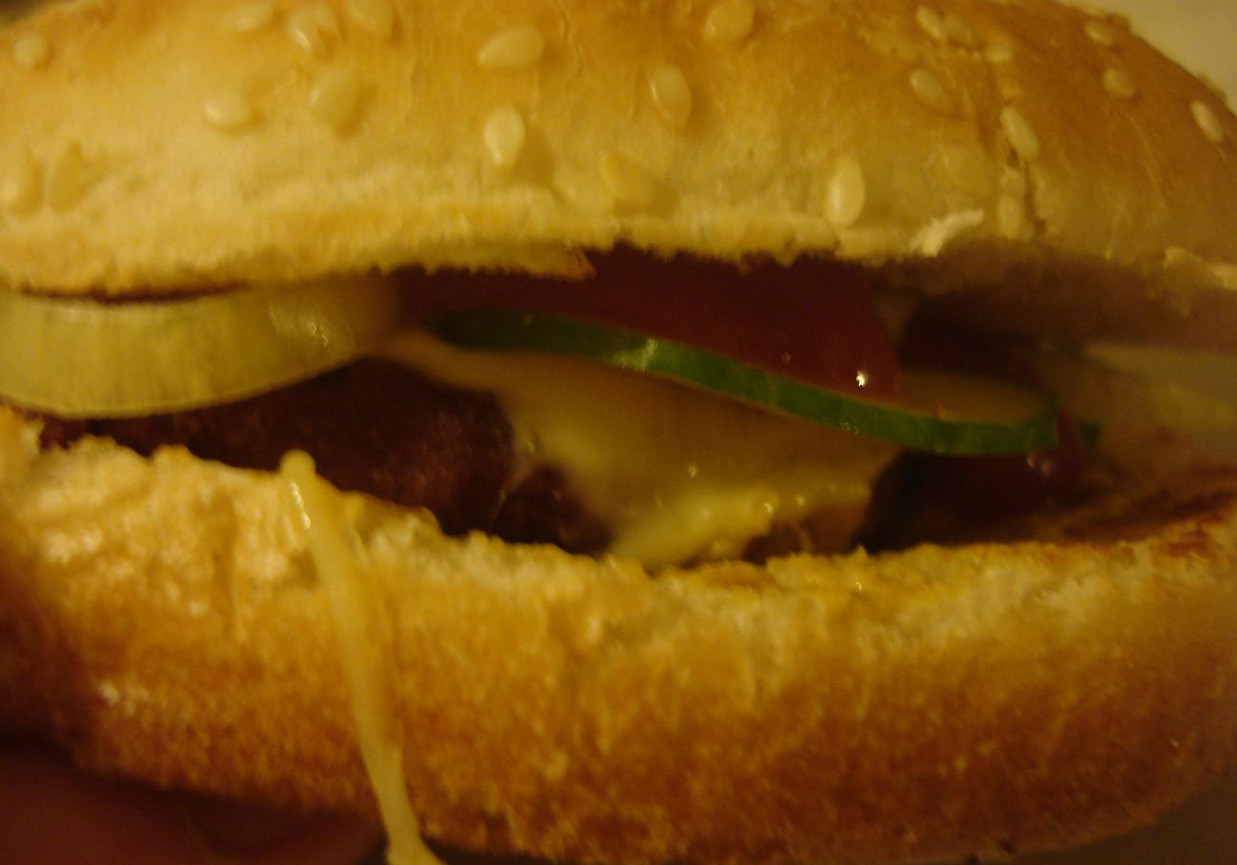 Cheeseburgery foto