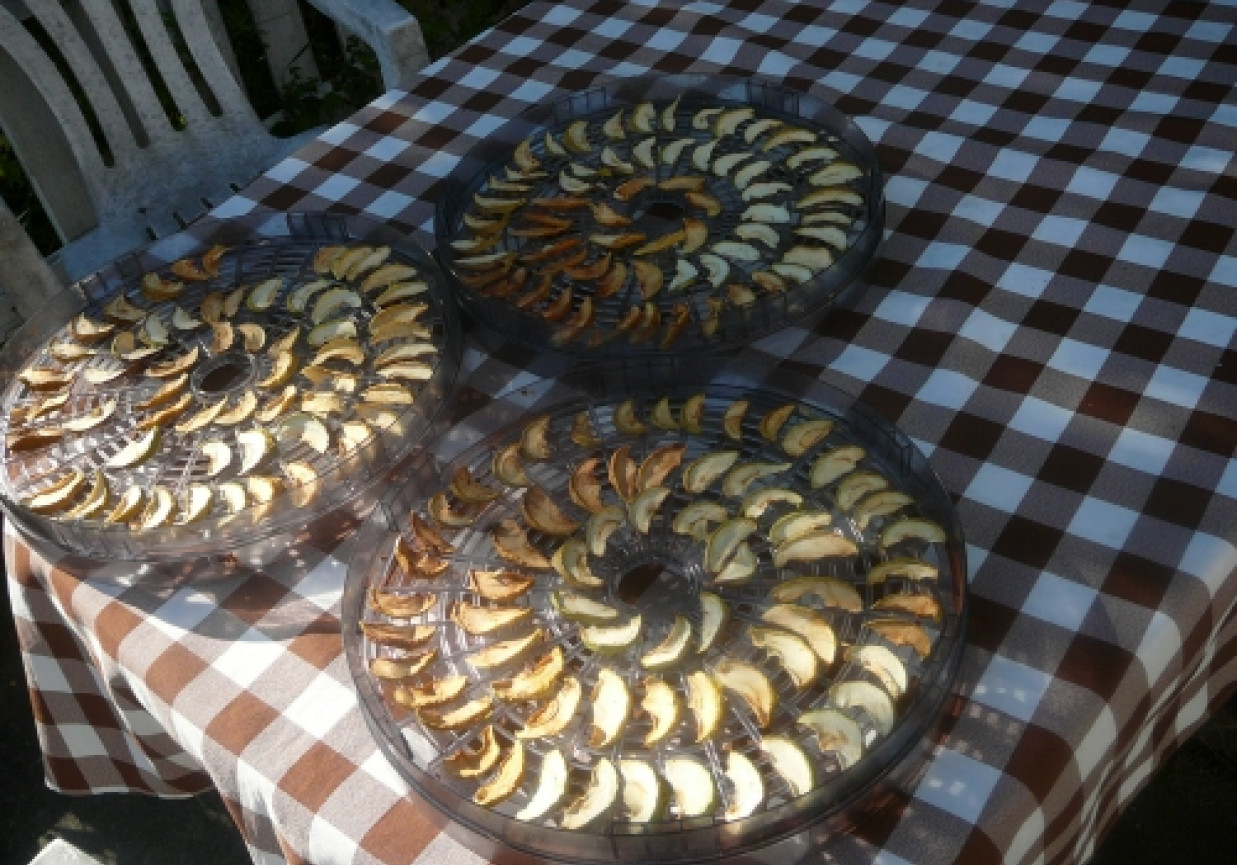 Chipsy jabłkowe z cynamonem i wanilią foto