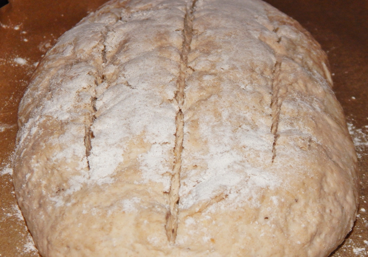 Chleb mieszany na zakwasie - z miodem i mąką owsianą foto