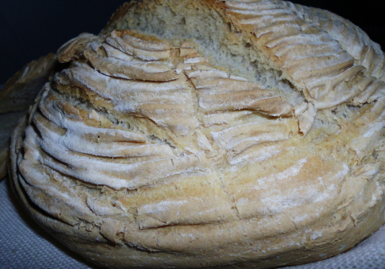Chleb pszenno-razowy foto